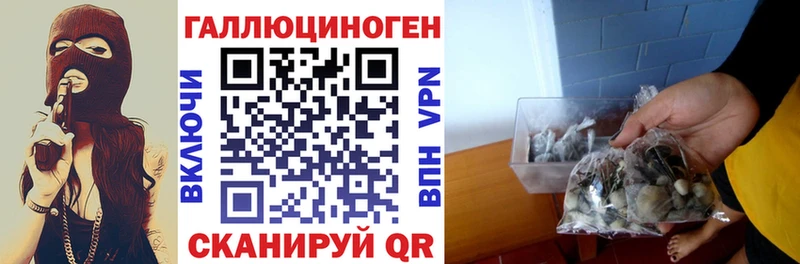 Псилоцибиновые грибы мицелий Купить закладки Новомичуринск